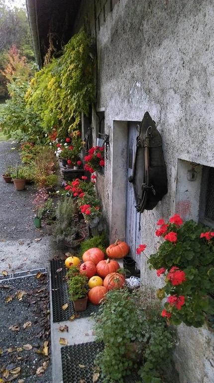 Domaine De La Safraniere - Chambre D'Hote Saint-Léger Exterior foto