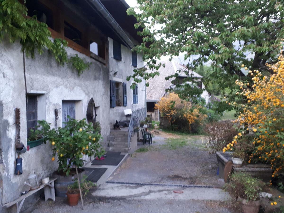 Domaine De La Safraniere - Chambre D'Hote Saint-Léger Exterior foto